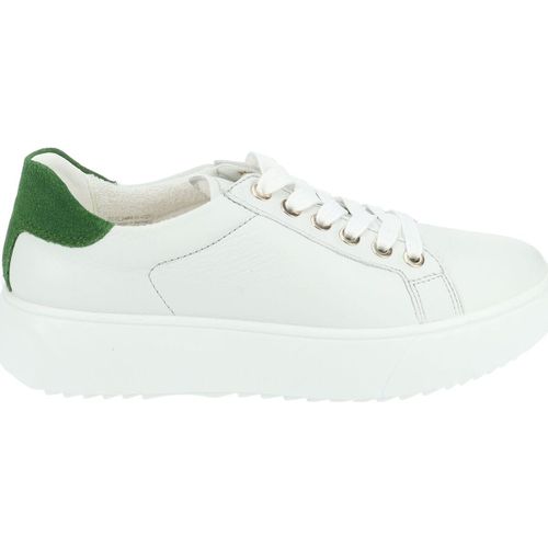 Sneakers basse Ara Sneakers - Ara - Modalova