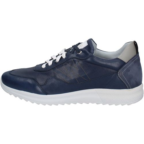 Sneakers Melluso U16240 - Melluso - Modalova