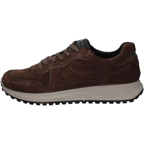 Sneakers IgI&CO 46406/22 - IgI&CO - Modalova