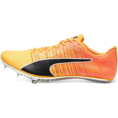 Scarpe Puma EVOSPEED BRUSH 6 - Puma - Modalova