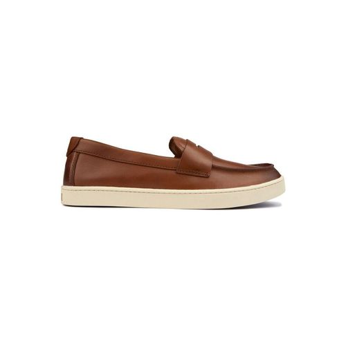 Scarpe Pinch Weekender Scarpe - Cole haan - Modalova