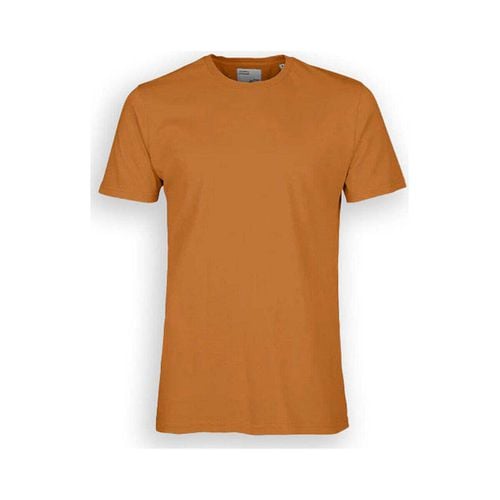 T-shirt & Polo Cotone Organico Ginger - Colorful Standard - Modalova