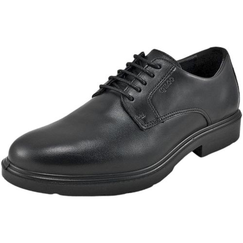 Scarpe Stringate Uomo 4601500 - IgI&CO - Modalova