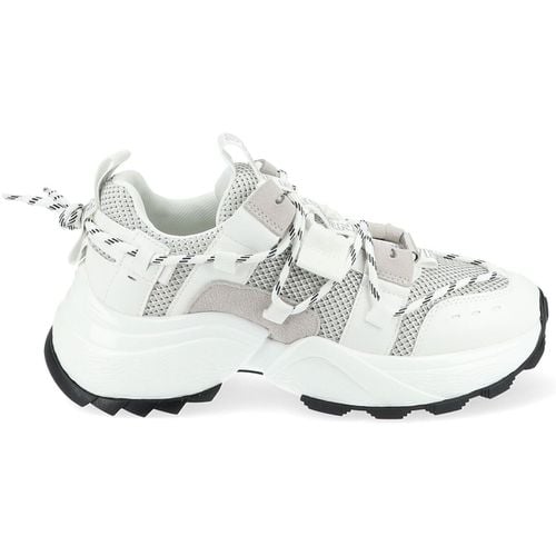 Sneakers basse Sneakers - Steve Madden - Modalova