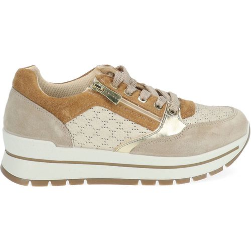 Sneakers basse IgI&CO Sneakers - IgI&CO - Modalova