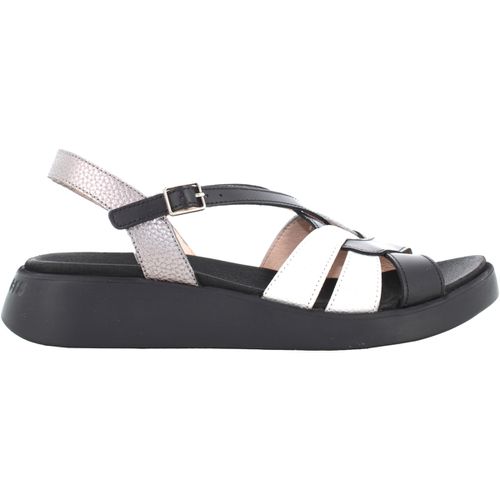 Sandali donna sandali bassi C-6530 AISE NERO ARGENTO - Wonders - Modalova