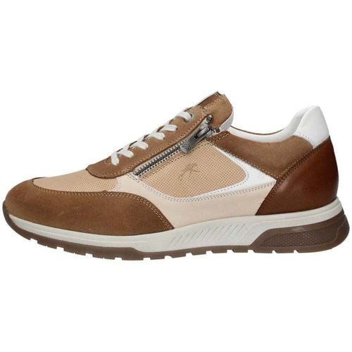 Sneakers Fluchos 49866100769098 - Fluchos - Modalova