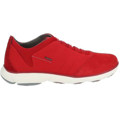 Sneakers Geox Sneakers - Geox - Modalova