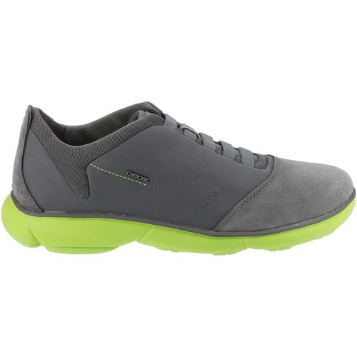 Sneakers Geox Sneakers - Geox - Modalova