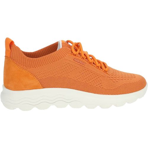 Sneakers basse Geox Sneakers - Geox - Modalova