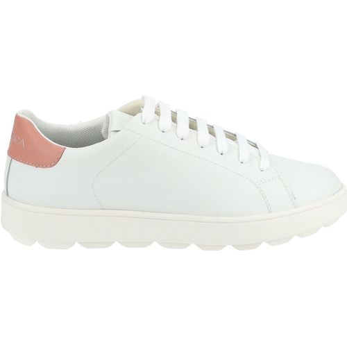 Sneakers basse Geox Sneakers - Geox - Modalova