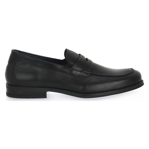 Sneakers Fluchos HABANA NEGRO - Fluchos - Modalova