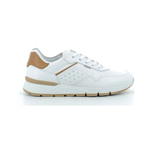 Sneakers NERUSC400192P24 - NeroGiardini - Modalova