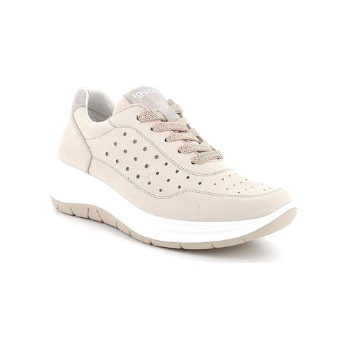 Sneakers IgI&CO 5653611 - IgI&CO - Modalova