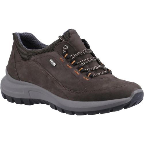 Scarpe da trekking Dumbleton - Cotswold - Modalova