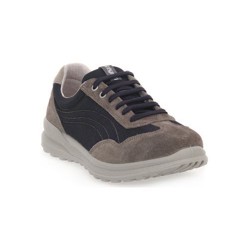 Sneakers Grisport 49T ASH VESUVIO - Grisport - Modalova