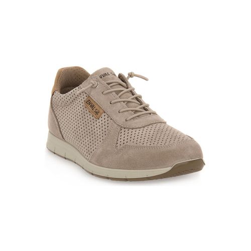 Sneakers Enval SANDERO BEIGE - Enval - Modalova