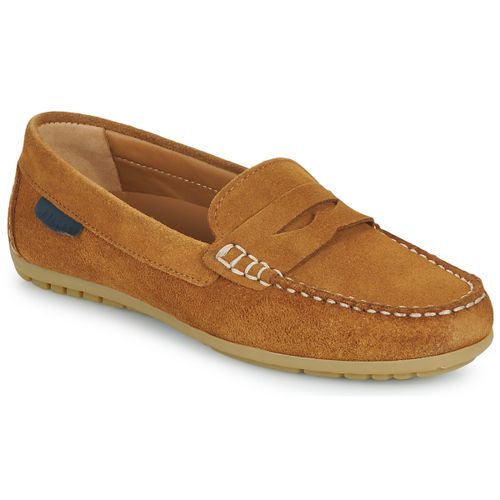 Scarpe Pellet CADORNA - Pellet - Modalova