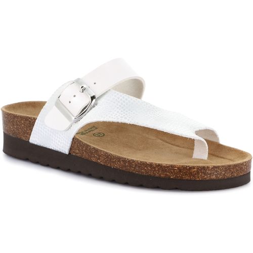 Scarpe Grunland DSG-CB2251 - Grunland - Modalova