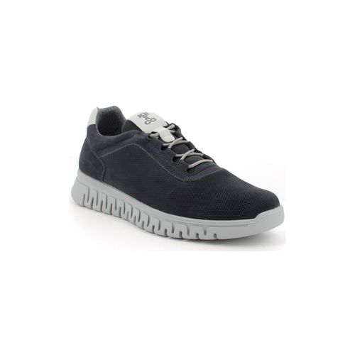 Sneakers IgI&CO 5623100 - IgI&CO - Modalova