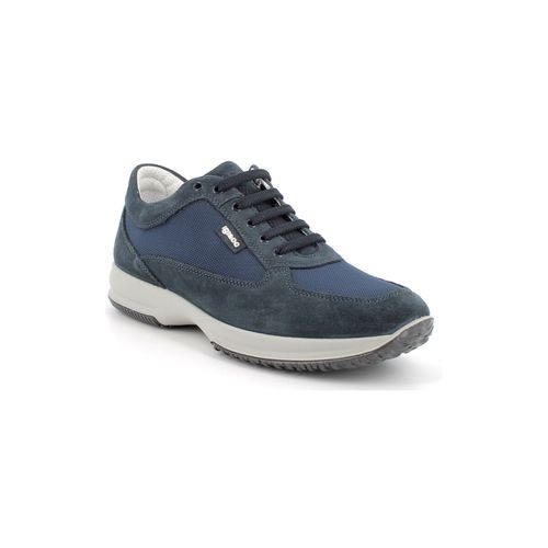 Sneakers IgI&CO 5626800 - IgI&CO - Modalova