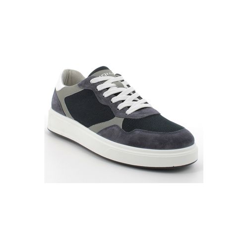 Sneakers IgI&CO 5632100 - IgI&CO - Modalova