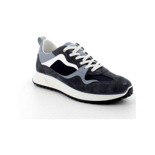 Sneakers IgI&CO 5635700 - IgI&CO - Modalova