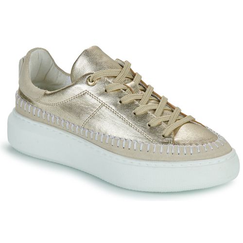 Sneakers basse JB Martin FLEUR - JB Martin - Modalova