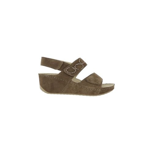 Sandali Scholl ABERDEEN WEDGE - Scholl - Modalova