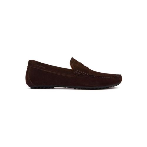 Scarpe Springfield Scarpe - Oliver Sweeney - Modalova