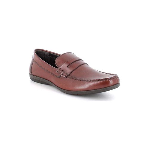 Scarpe IgI&CO 5613422 - IgI&CO - Modalova