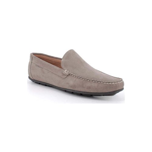 Scarpe IgI&CO 5615011 - IgI&CO - Modalova