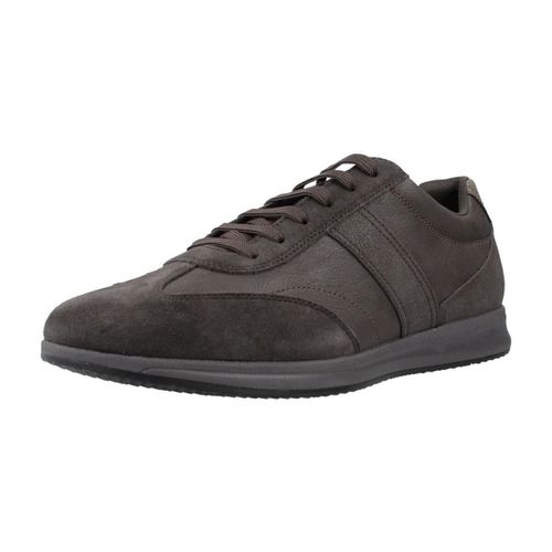 Sneakers Geox U AVERY - Geox - Modalova