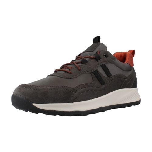 Sneakers Geox U TERRESTRE - Geox - Modalova