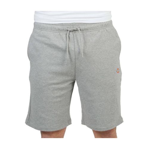 Pantaloni MAPLETON SHORT UNISEX - Dickies - Modalova