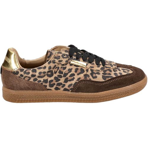 Sneakers Steve Madden Sneakers - Steve Madden - Modalova