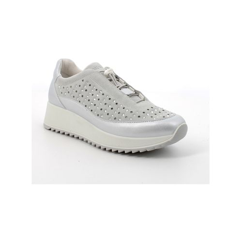 Sneakers basse Enval 5772622 - Enval - Modalova