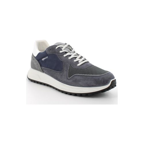 Sneakers IgI&CO 5635800 - IgI&CO - Modalova