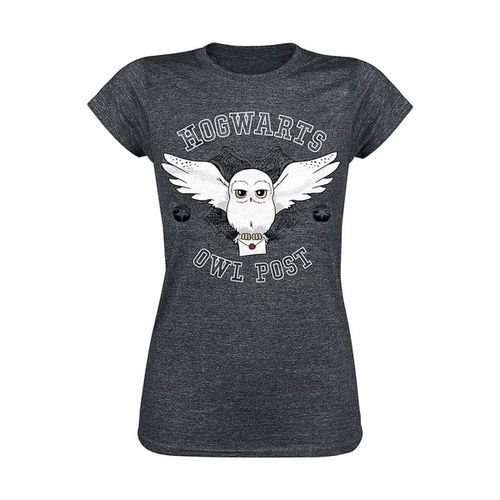 T-shirts a maniche lunghe Hogwarts Owl Post - Harry Potter - Modalova