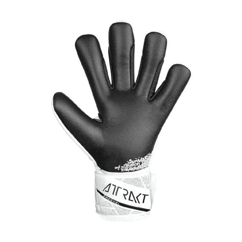 Guanti Guanti da Portiere Attrakt Freegel Silver - Reusch - Modalova