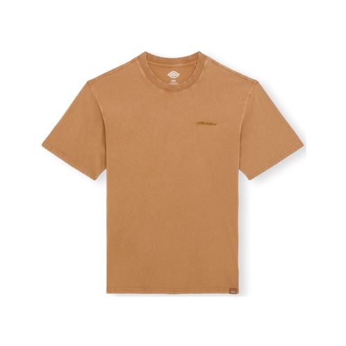 T-shirt & Polo Plentywood T-Shirt - Brown - Dickies - Modalova