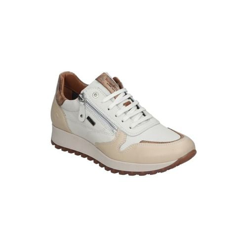 Sneakers basse SNEAKERS - Kangaroos - Modalova