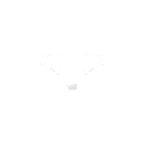Culotte e slip Culotte Ana - Fantasie - Modalova