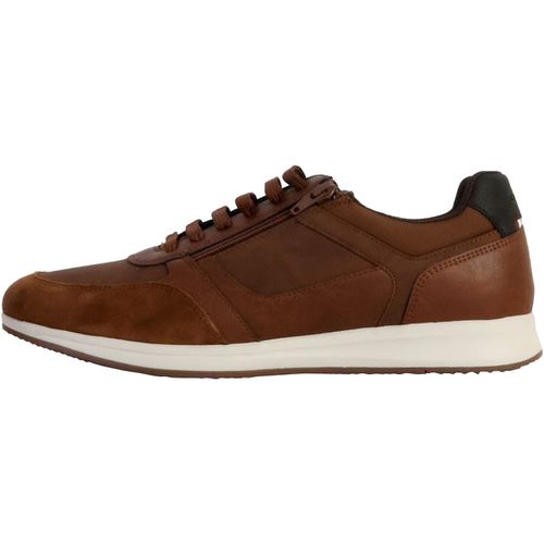 Sneakers Geox 241873 - Geox - Modalova