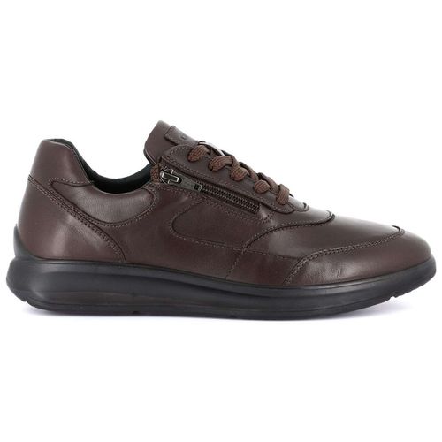 Sneakers - Bonn SC4310 - Grunland - Modalova