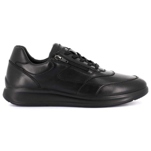 Sneakers - Bonn SC4310 - Grunland - Modalova