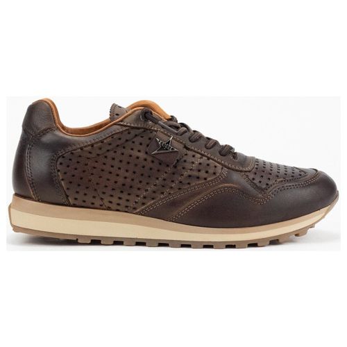 Sneakers Cetti 34993 - Cetti - Modalova