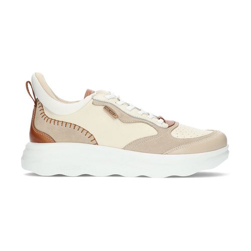 Sneakers basse Sneaker da donna Zahara W1D6557C1 - Pikolinos - Modalova