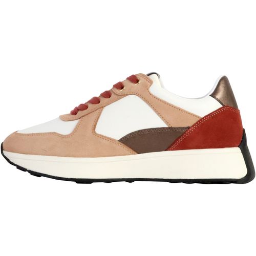 Sneakers basse Geox 242066 - Geox - Modalova