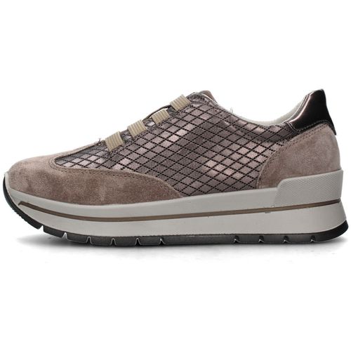 Sneakers basse IgI&CO 6674022 - IgI&CO - Modalova